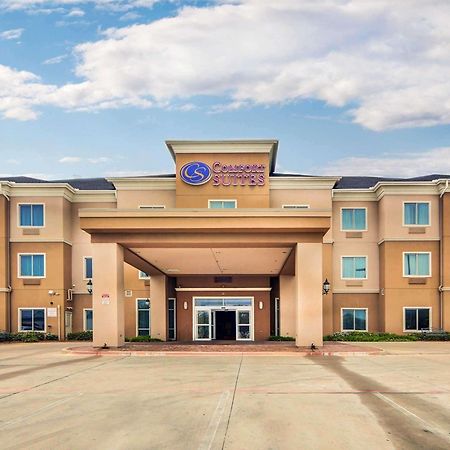 Comfort Suites Fort Worth South Eksteriør billede